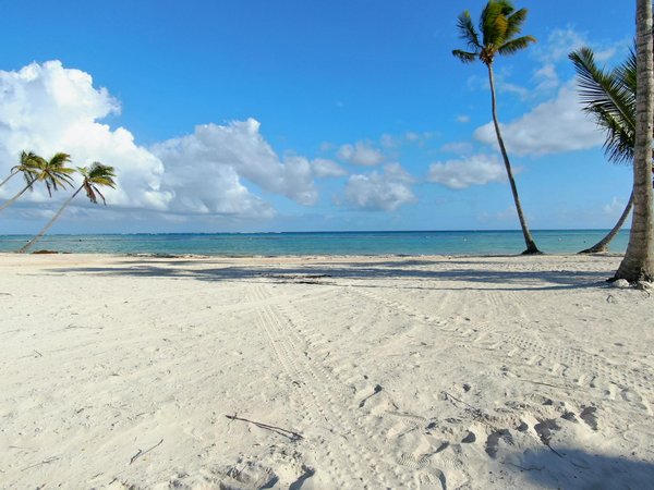 Découvrez les Secrets pour Réserver Rapidement Votre Séjour en Camping en Ligne dans les Landes